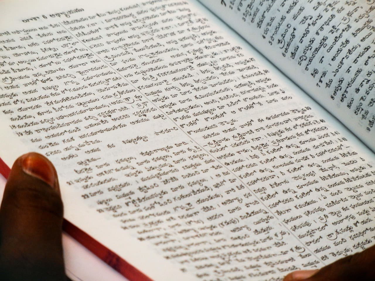 Role of a Script Reader